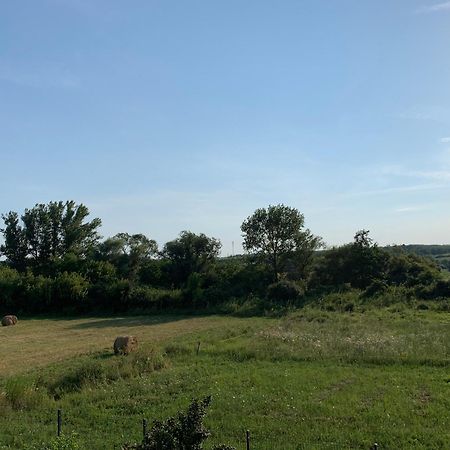 Feher Orchidea Apartman Egerszalók Exterior foto